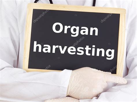 Doctor shows information: organ harvesting Stock Photo by ©gwolters ...