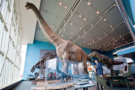 Dinosaur Mysteries | Maryland Science Center