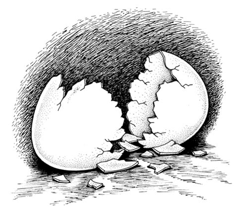 Broken egg drawing, pen and ink illustration of a broken egg shell, broken egg graphic ...