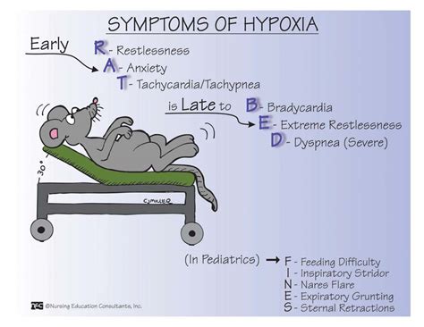 Symptoms of Hypoxia.jpg: NUR102 _04921_FUNDAMENTALS OF NURSING