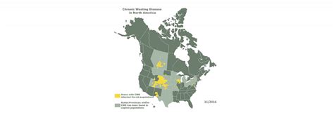 Everything You Need to Know on the Impacts and Spread of CWD | onX