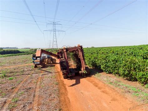 Premium Photo | Machine in the field harvesting coffee in the plantation of brazil.