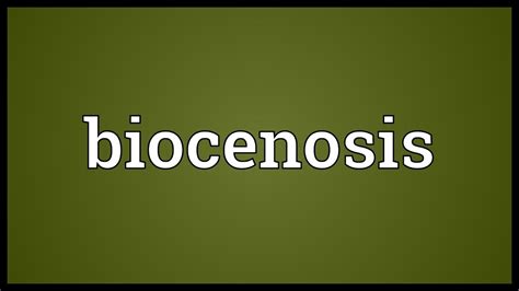 Biocenosis Meaning - YouTube