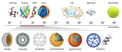 Research | Wich Research Lab