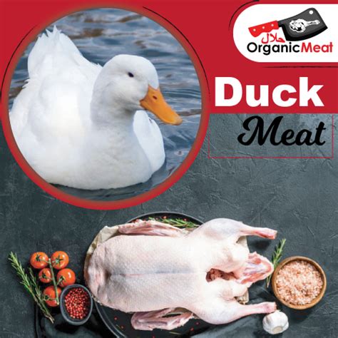 Duck Meat – Halal Organic Meat