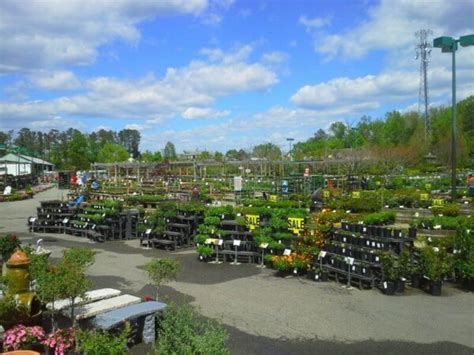 Great Big Greenhouse | Best Garden Center in Richmond VA