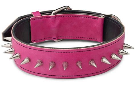 Pink Spiked Dog Collar | DOGMOUNT