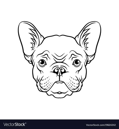 Black and white sketch of pug dogs head face of Vector Image