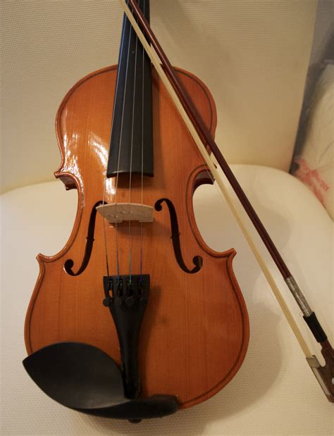 Free Images : musical instrument, percussion, cello, viola, classical music, display case ...