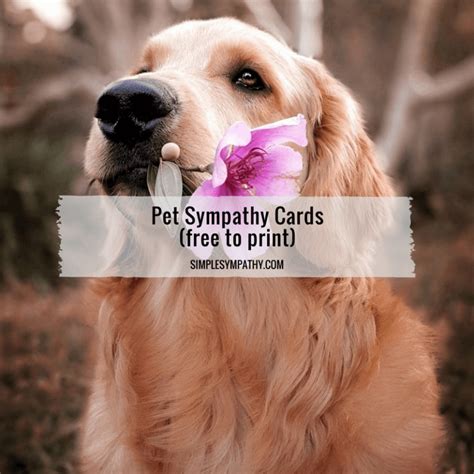 Pet Sympathy Cards – Simple Sympathy