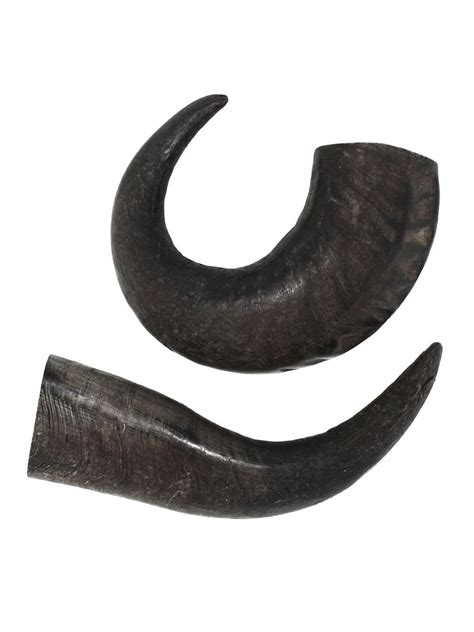 Natural Water Buffalo Horns 2 Count - Etsy