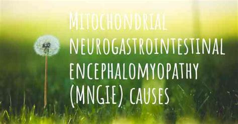 Which are the causes of Mitochondrial neurogastrointestinal encephalomyopathy (MNGIE)?