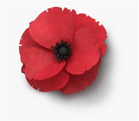 Poppy Flower Veterans Day - Anzac Poppy Transparent Background, HD Png ...