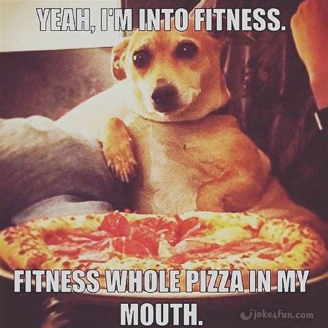 Joke4Fun Memes: Fitness dog