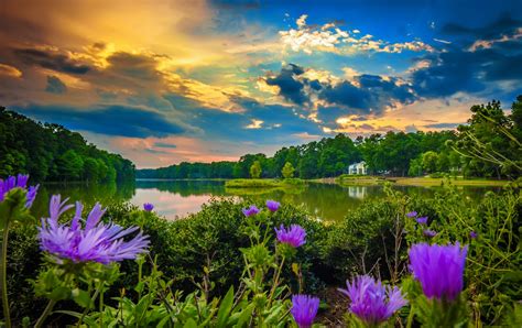 2048x1291 / greenery, beautiful, sunset, sky, clouds, lake, wildflowers, river, reflection ...