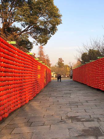 Xixi Wetland Park (Hangzhou) - 2020 All You Need to Know BEFORE You Go ...