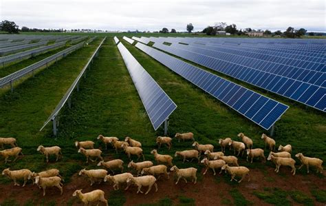 The Farmers Profiting from the Solar Power Boom: A Closer Look