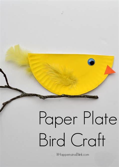 Paper Plate Bird | Bird crafts preschool, Bird crafts, Preschool crafts