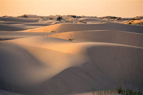 The Ever-Changing Landscape of Monahans Sandhills State Park | State ...