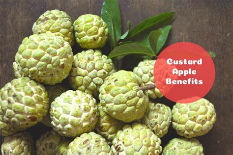 custard-apple-benefits - Ayurvedum