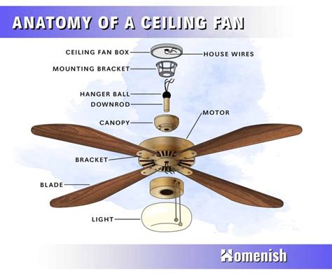 8 Parts of a Ceiling Fan (with Illustrated Diagram) - Homenish