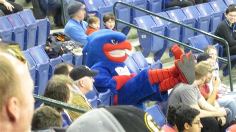 UMass Lowell River Hawks mascot | Mascot, Stadium, Wrestling