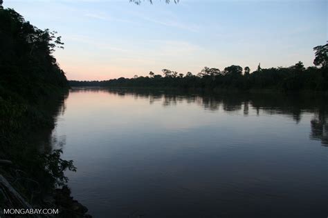 Sunset over Tambopata river