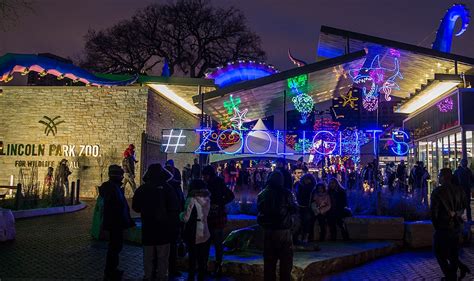 Chicago's Beloved ZooLights Experience Has Returned To Lincoln Park Zoo ...