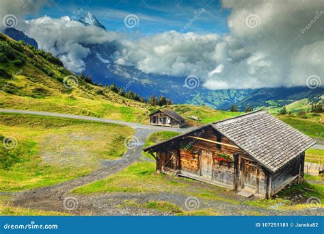 Typical Swiss Alpine Farmhouses and Snowy Mountains, Bernese Oberland, Switzerland Stock Image ...