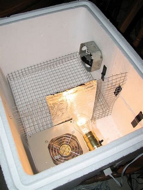 Hatch your own chicken eggs with an inexpensive DIY egg incubator! | Your Projects@OBN