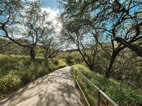 How to hike Diamond Head Summit Trail on O’ahu - Unexpected Occurrence