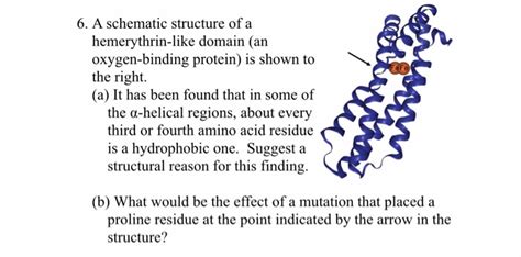 Solved 6. A schematic structure of a hemerythrin-like domain | Chegg.com