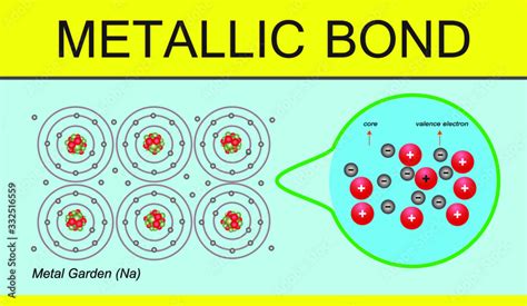 chemistry lesson metallic bond. metallic bond infographic. valence electron Stock Vector | Adobe ...