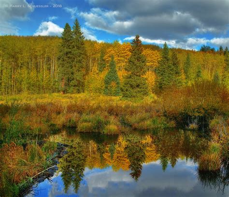 Rocky Mountain Reflections | Early fall colors reflected in … | Flickr