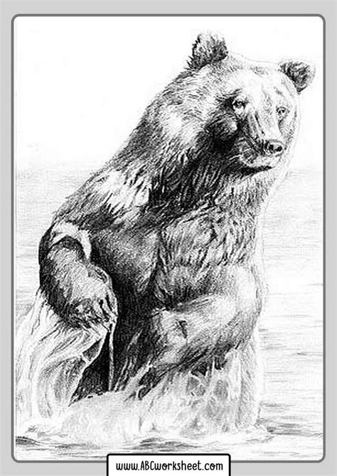 Grizzly bears Coloring Pages | Pencil drawings of animals, Bear coloring pages, Bear drawing