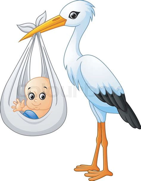 Baby Stork Images