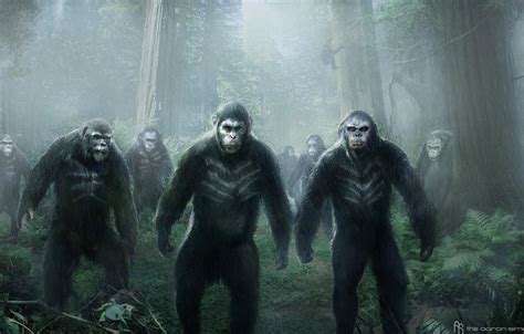 Dawn Of The Planet Of The Apes Wallpapers - Wallpaper Cave