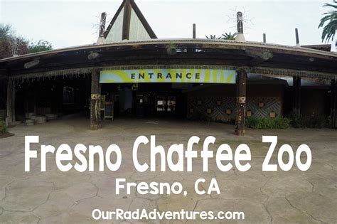 Fresno Chaffee Zoo Adventure - Our Rad Adventures