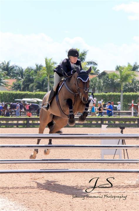 Winter Equestrian Festival | Winter equestrian festival, Riding helmets ...