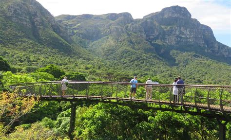 A visit to Kirstenbosch Botanical Gardens, Cape Town