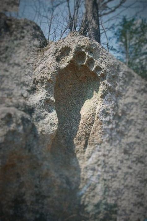 Five giant footprints that you won’t believe are real - Sasquatch ...