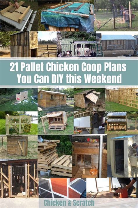 21 Free Pallet Chicken Coop Plans (Ventilated & Easy-fit)