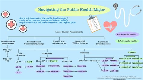 UCLA to offer new undergraduate public health degrees with capstone component - Daily Bruin