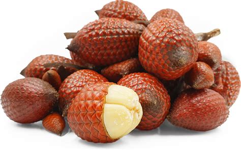 Salak Information and Facts