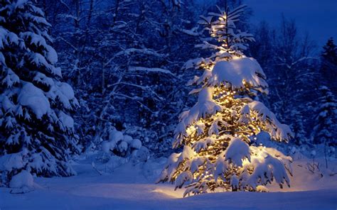 Christmas Snow Desktop Wallpapers - 4k, HD Christmas Snow Desktop ...