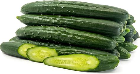 Japanese Cucumber Information and Facts