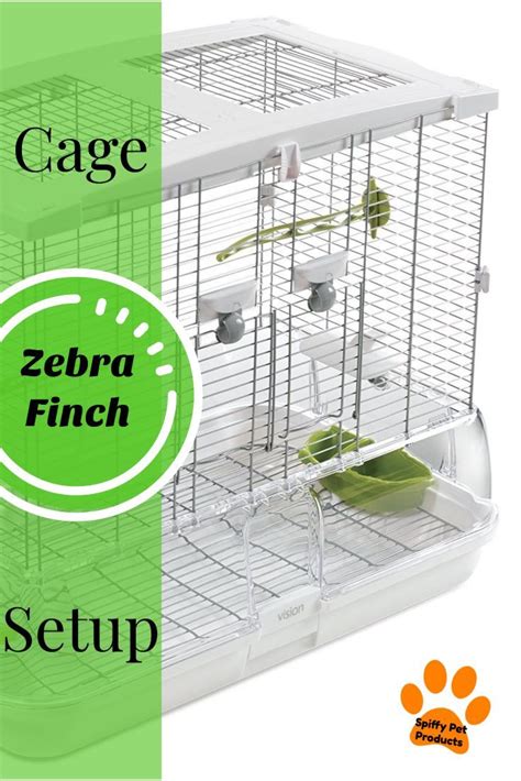 Zebra Finch Cage Setup Ideas & Tips! - Spiffy Pet Products | Zebra ...