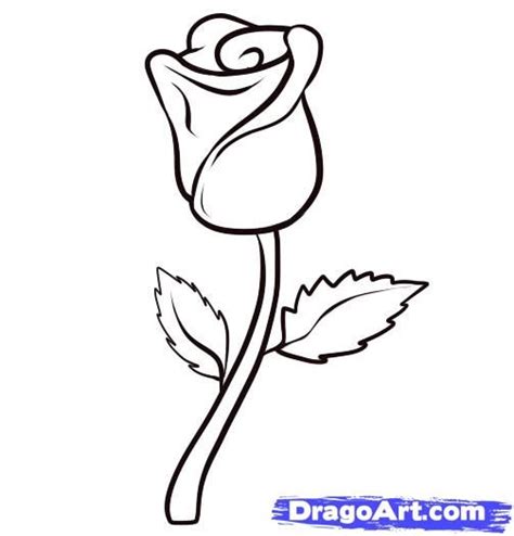 easy to draw sexiest rose | how to draw a rose step 6 | Rose drawing simple, Rose sketch, Flower ...