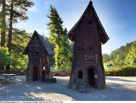 Shrine Drive Thru Tree - Famous Redwoods