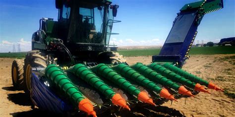 | Harvesting onions seeds equipment